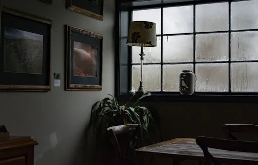 Habitacion Oscura Con Sofa