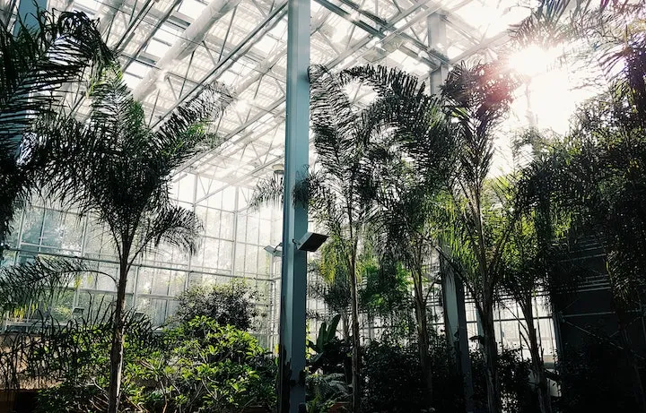 Jardin Botanico