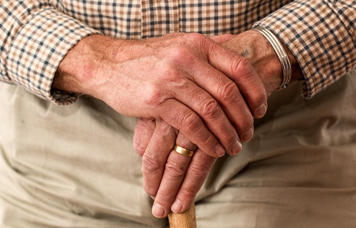 Sistema de pensiones holandes