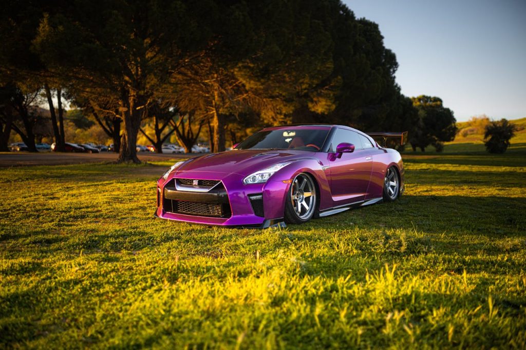 Nissan Morado En Un Campo