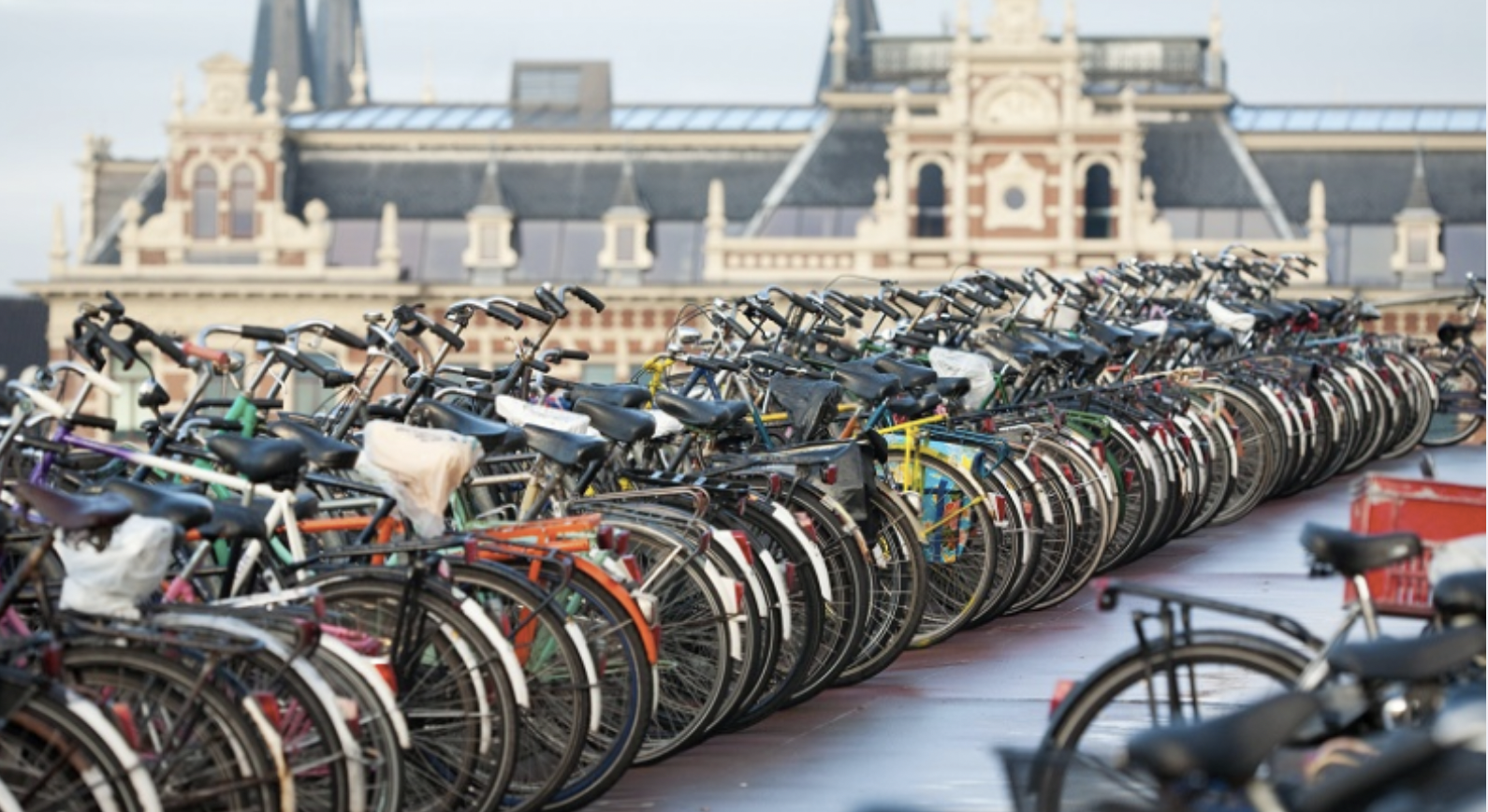 L’unica cosa che devi sapere nei Paesi Bassi: l’ABC della bicicletta