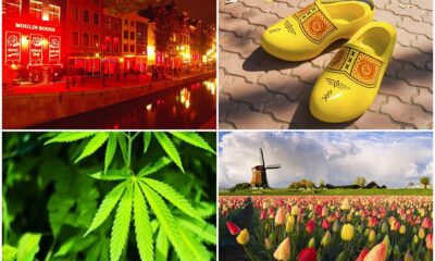 Par toleranci, tūlpēm, un koka tupelēm- nīderlandieši, kādus mēs tos redzam?