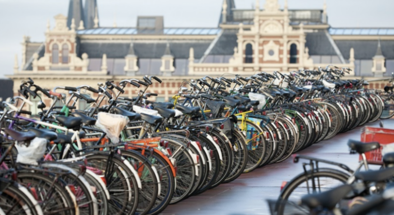Jedna rzecz, którą musisz wiedzieć w Holandii: ABC jazdy na rowerze