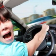 Călătoria către în Olanda cu mașina personală și găsirea unei cazări: ce trebuie să știți?