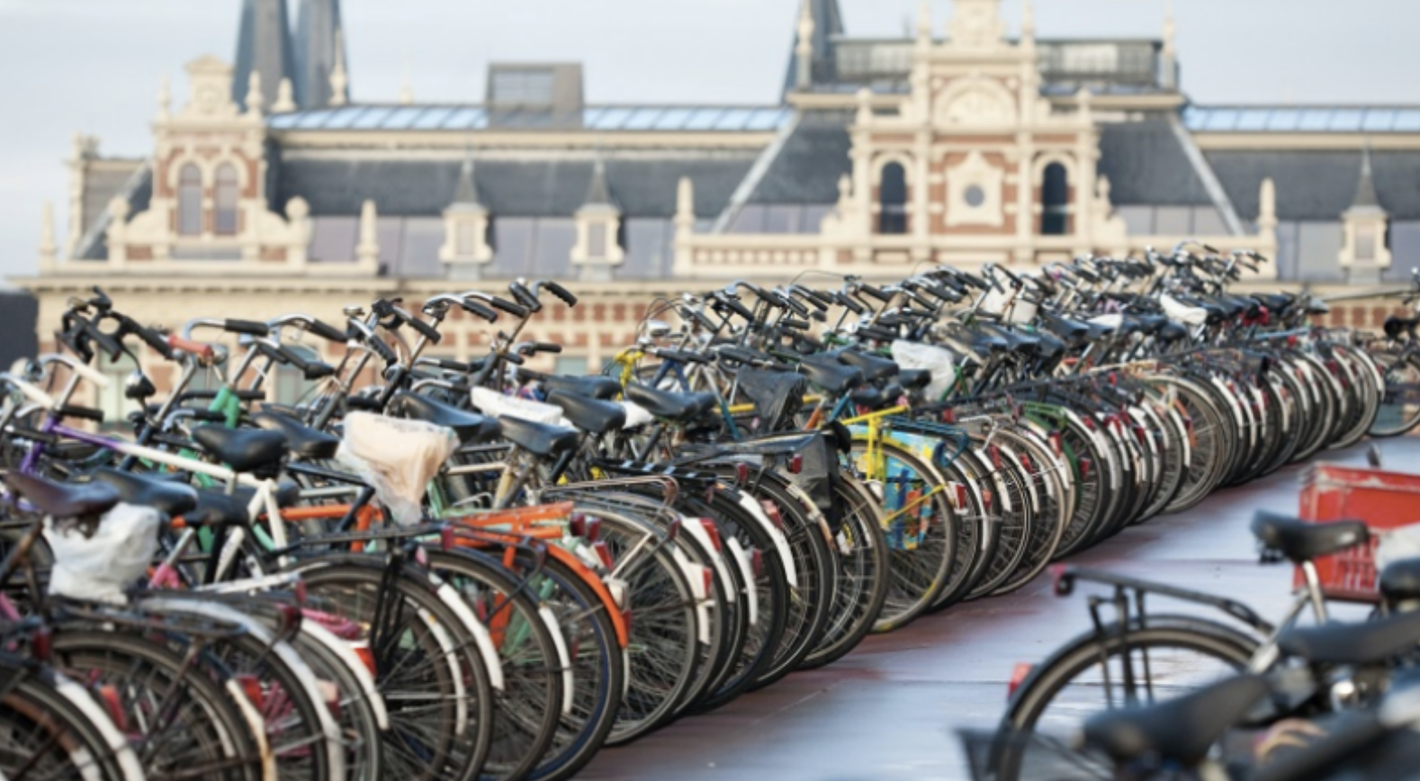 Singurul lucru pe care trebuie să-l știți în Olanda: ABC-ul ciclismului