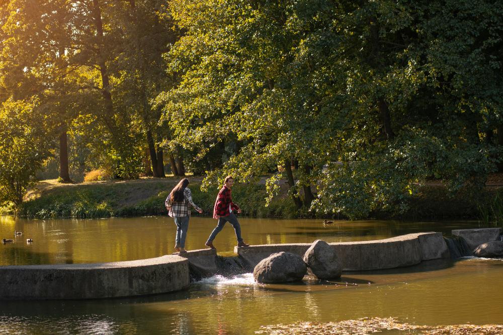 vedere-îndepărtată-frumos-cuplu-mergând-în-natură