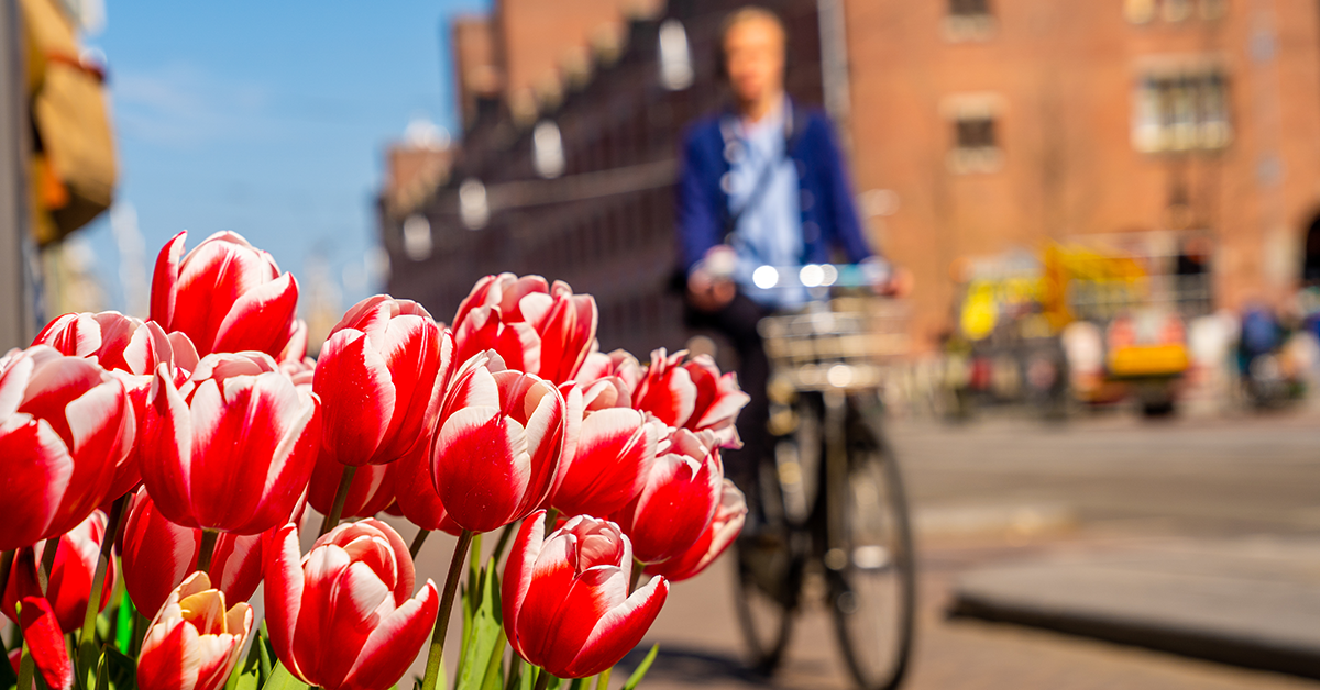6 Things to Know Before Travelling to the Netherlands