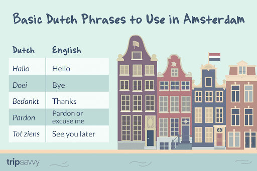 do you need to speak dutch to work in the netherlands