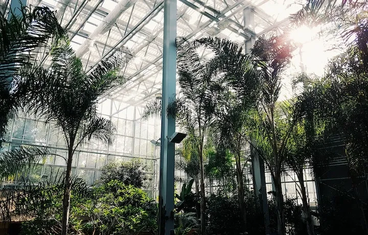 best places to visit in amsterdam